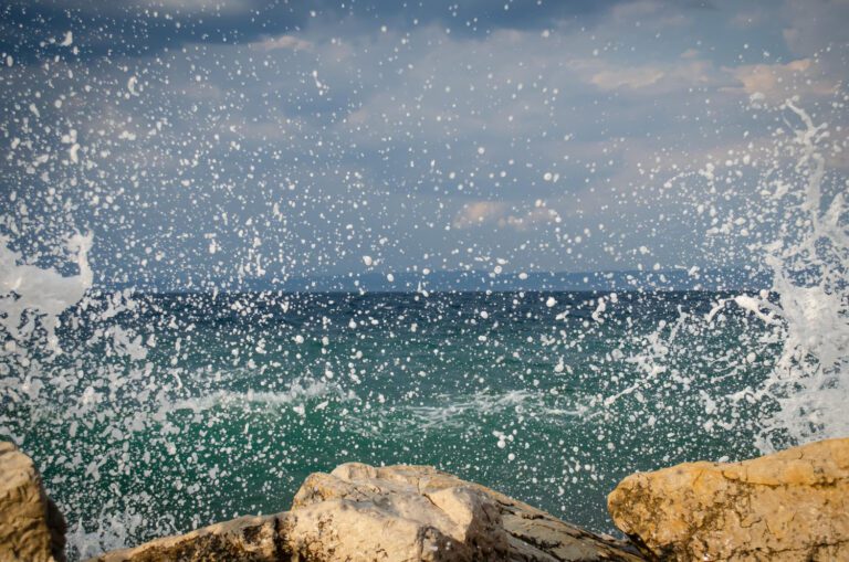 The Ocean Race